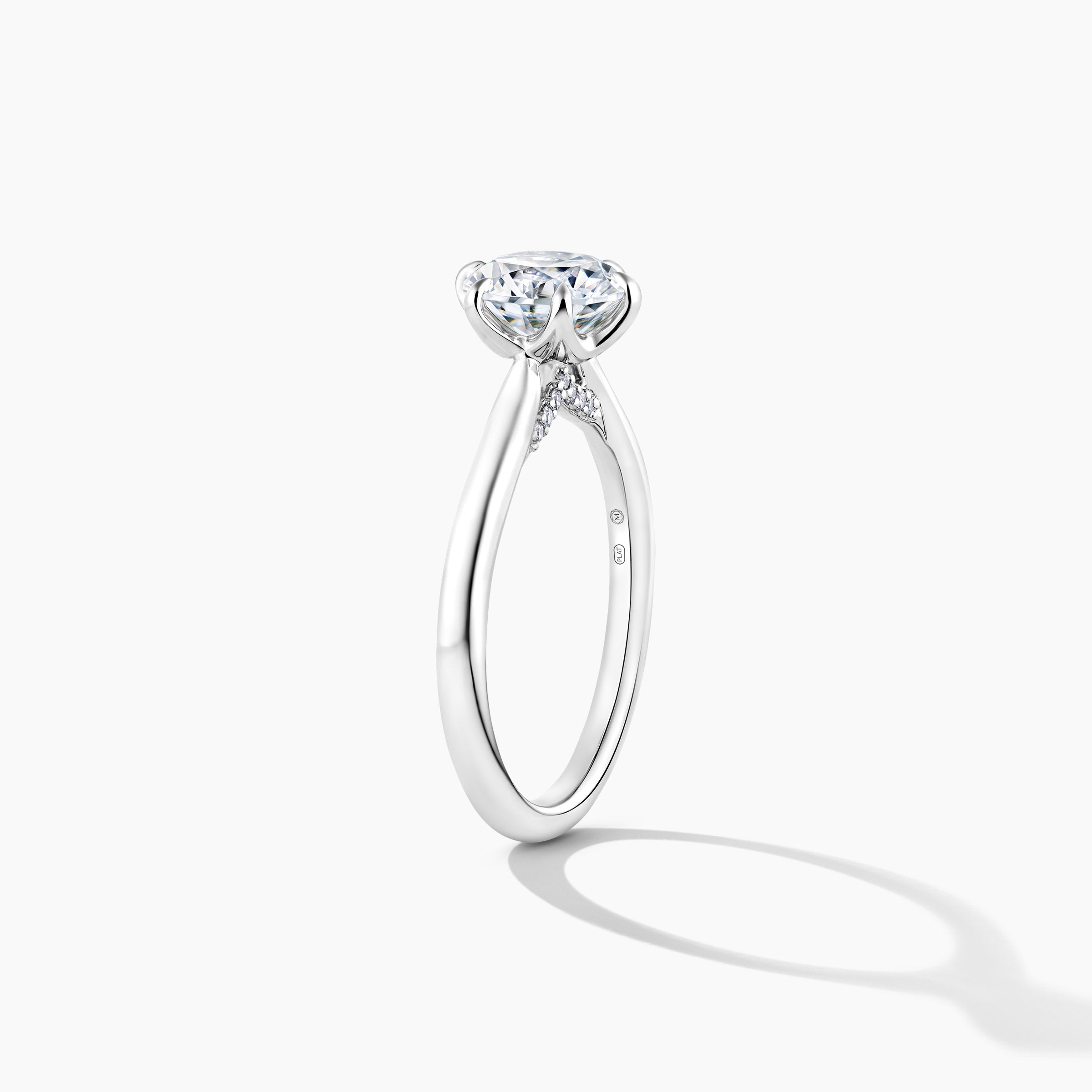 Platinum Hidden Halo Solitaire Engagement Mounting Ring with RBC Details