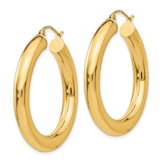 10K Yellow Gold Earrings: Radiant Elegance