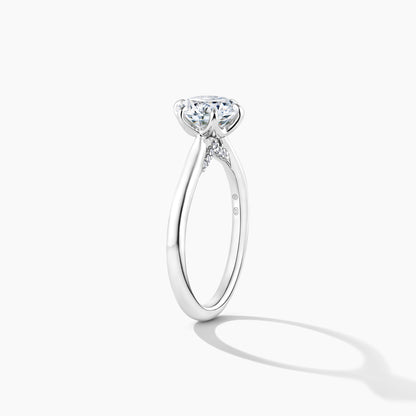 Platinum Hidden Halo Solitaire Engagement Mounting Ring with RBC Details