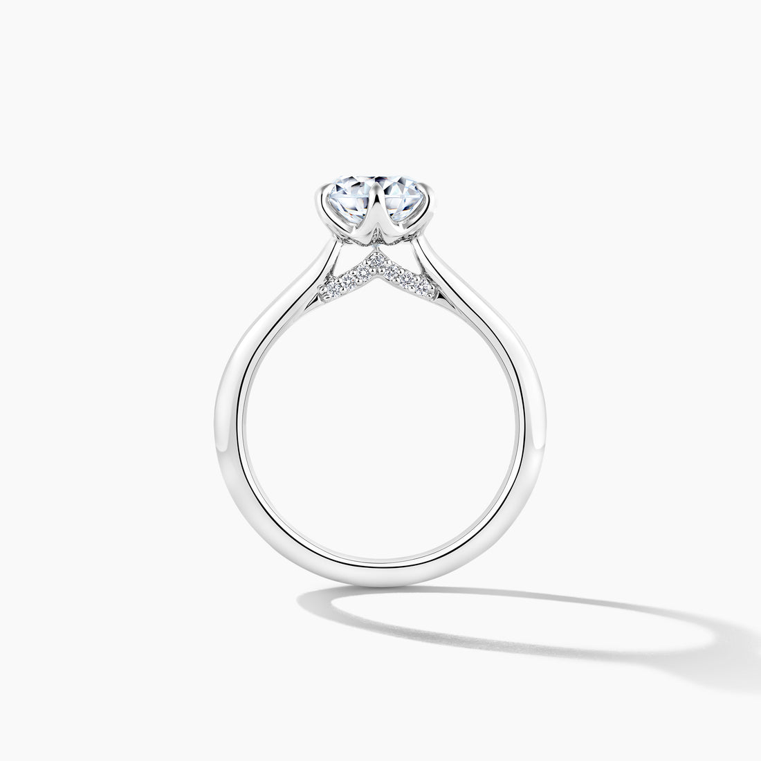 Platinum Hidden Halo Solitaire Engagement Mounting Ring with RBC Details