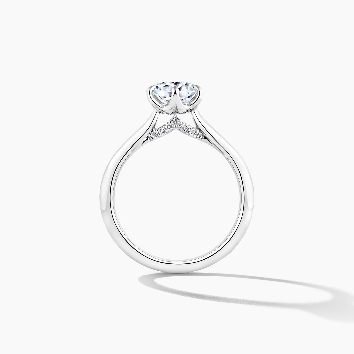 Platinum Hidden Halo Solitaire Engagement Mounting Ring with RBC Details