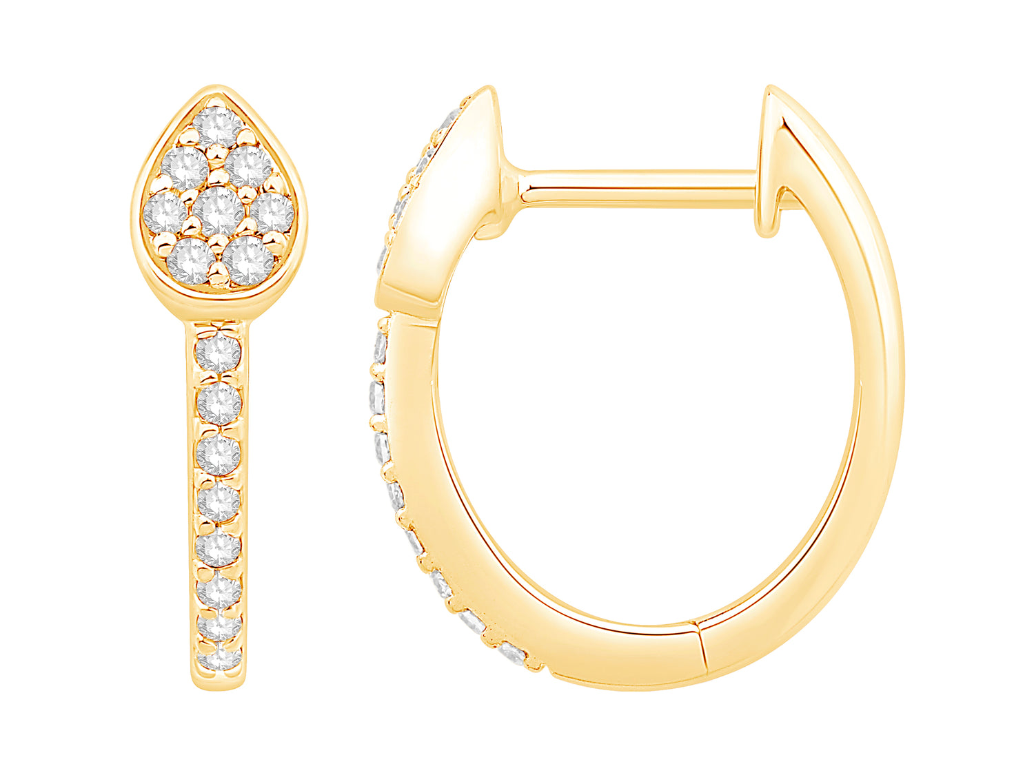 Dainty Leaf Earrings in 10 Karat Yellow Gold