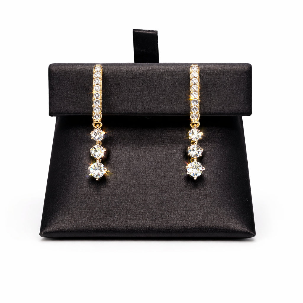 Graduated Round Natural Diamond Earrings in 10 Karat Yellow Gold (0.25 cttw)