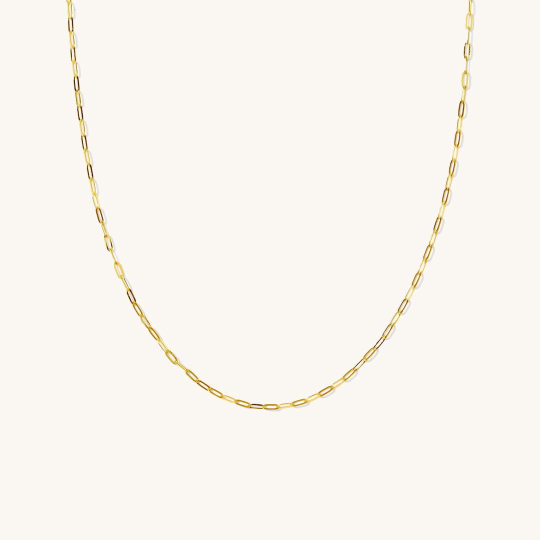 10 Karat Yellow Gold link Chain Necklace